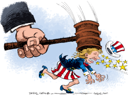 SUPREME COURT AND AMERICA by Daryl Cagle