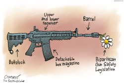 A TIMID GUN LEGISLATION by Patrick Chappatte
