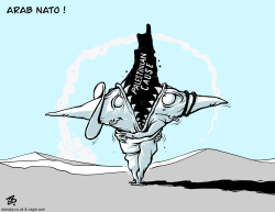 ARAB NATO by Emad Hajjaj