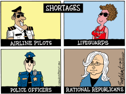 MORE SHORTAGES by Bob Englehart