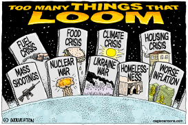 LOOMING CATASTROPHES by Monte Wolverton