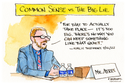 COMMON SENSE VS. THE BIG LIE by Pat Byrnes