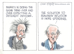 BIDEN PLAN TO REDUCE INFLATION by Dick Wright