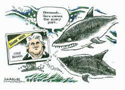STEVE BANNON by Jimmy Margulies