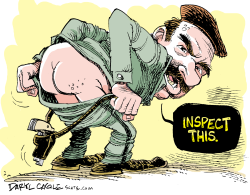  INSPECT THIS by Daryl Cagle