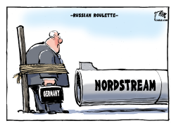 GERMANY AND NORDSTREAM by Tom Janssen