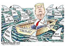 TRUMP AND SHARKS by Dave Granlund