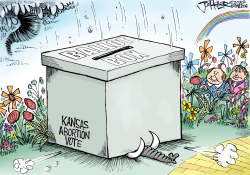 KANSAS ABORTION VOTE by Joe Heller