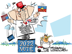 ARIZONA'S PRIMARY RESULTS by David Fitzsimmons