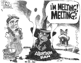 KANSAS ABORTION VOTE by John Darkow
