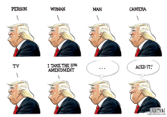 TRUMP TAKES THE FIFTH by R.J. Matson