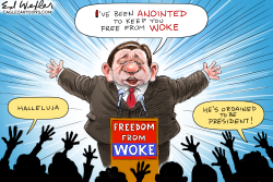 DESANTIS FREEDOM FROM WOKE by Ed Wexler