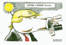 LOOSE CANNON FODDER by Jimmy Margulies