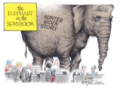 ELEPHANT IN THE NEWSROOM by Dick Wright
