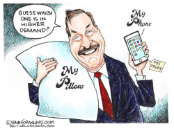 PILLOW GUY AND FBI by Dave Granlund
