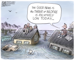 EFFECTS OF CLIMATE CHANGE by Adam Zyglis