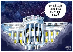 WHITE HOUSE SWITCHBOARD CALLED A CAPITOL RIOTER by Dave Whamond