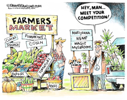 FARMERS' MARKET COMPETITION by Dave Granlund