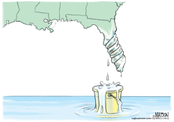 WRINGING OUT FLORIDA by R.J. Matson
