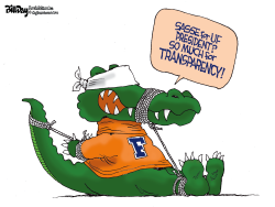 FLORIDA NO TRANSPARENCY by Bill Day