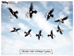 FLORIDA VULTURE INVESTORS by Bill Day