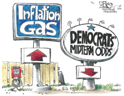 GAS UP, DEMS DOWN by John Darkow