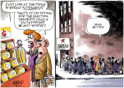 INFLATION AND THE FATE OF DEMOCRACY by Dave Whamond