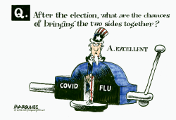COVID AND FLU by Jimmy Margulies
