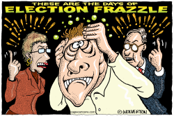 ELECTION FRAZZLE by Monte Wolverton