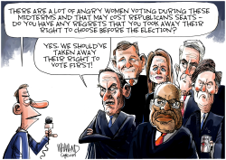 THE OTHER RIGHT TO CHOOSE by Dave Whamond