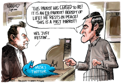 MUSK'S TWITTER by Dave Whamond
