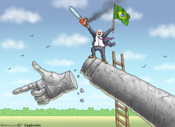 VIVA BRAZIL by Marian Kamensky