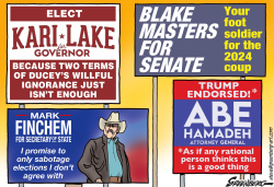 ARIZONA CAMPAIGN SIGNS by Steve Greenberg