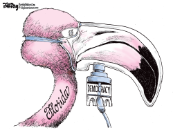 FLORIDA FLAMINGO ON LIFE SUPPORT by Bill Day