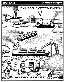 BIOMASS IS NOT GREEN ENERGY by Andy Singer