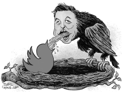 ELON MUSK AND TWITTER BIRDS by Daryl Cagle