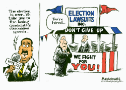 ELECTION LAWSUITS by Jimmy Margulies