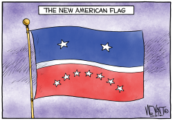 THE NEW AMERICAN FLAG by Christopher Weyant