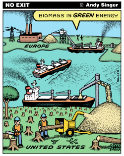 BIOMASS IS NOT GREEN ENERGY by Andy Singer