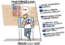 ARIZONA VOTES by David Fitzsimmons