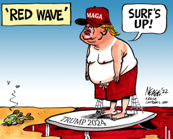 RED WAVE by Steve Nease