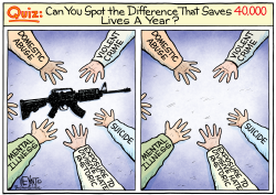 GUN CONTROL DIFFERENCE by Christopher Weyant