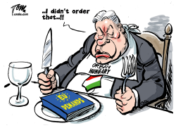 EU DEMANDS HUNGARY by Tom Janssen