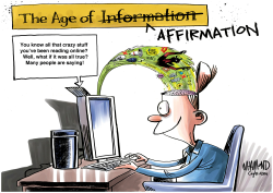 THE AGE OF DISINFORMATION by Dave Whamond