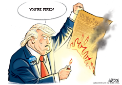 FLORIDA MAN FIRES THE CONSTITUTION by R.J. Matson
