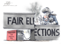 DEMOCRAT ELECTION INTERFERENCE by Dick Wright