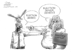 ELECTION DENIER by Dick Wright