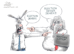 ELECTION DENIER by Dick Wright