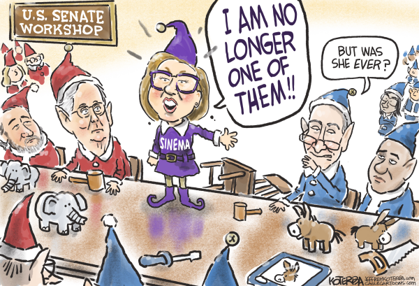 Sinema, one-time Dem, tells all
  