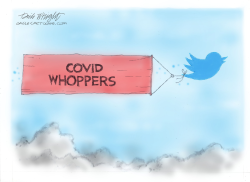 TWITTER MISREPRESENTATIONS ABOUT COVID by Dick Wright